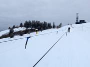 Surface Tow - Seillift/Babylift mit niederer Seilführung