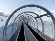 Alfombra Doble Dauro - Förderband/Zauberteppich mit Überdachung