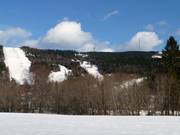 Blick auf die Waldschneisenabfahrten mit Funkturm