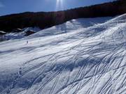 Tiefschneespuren findet man sehr häufig neben den Pisten