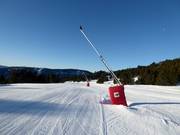 Schneilanze im Skigebiet Les Angles