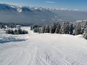 Abfahrt Torlaufstrecke