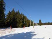 Sport 1 - Tellerlift