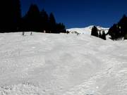 Talabfahrt Hasliberg-Reuti