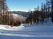 Typische Talabfahrt durch den Wald