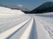 Perfekt präparierte Loipen