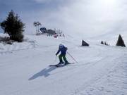 Audi Ski-Cross Park Sillerenbühl