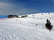 Baumfreie Hänge am Gipfel des Belchens