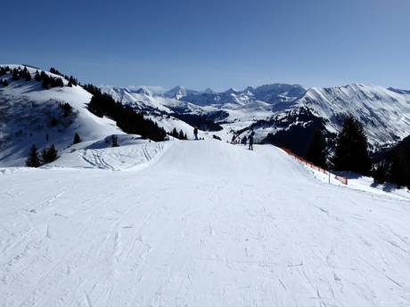 Simmental: Testberichte von Skigebieten – Testbericht Rinderberg/Saanerslochgrat/Horneggli – Zweisimmen/Saanenmöser/Schönried/St. Stephan