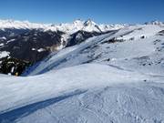 Schwere Piste Gamslaiten