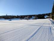 Breite und leichte Piste in Zieleniec