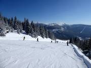 Mittelschwere Piste Medvědín-Červená