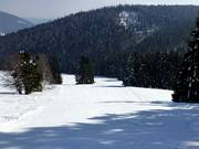 Vorderdorf-Abfahrt zum Rehbach-Schlepplift