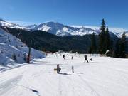 Anfängerareal an der Mittelstation