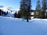 Wenalift - Seillift/Babylift mit niederer Seilführung