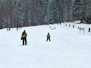 Familien am Seillift Muli 1