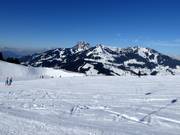 Blick vom Sudelfeldkopf zum Wendelstein