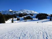 Blick von Sunshine Village zum Lookout Mountain