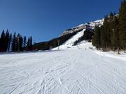 Leichte Piste Cascade