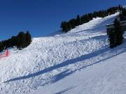 Tiefschneehänge in Bormio