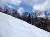 Skigebiete für Könner und Freeriding Japan – Könner, Freerider Furano