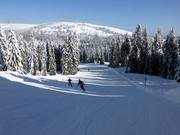 Leichte Rothaus-Abfahrt