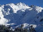 Freeride am Glattingrat