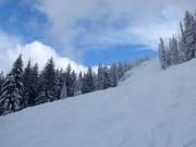 Sehr schwere Abfahrten am Red Mountain