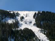 Steile Buckelpisten in der Pallavicini Bowl