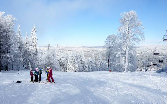 Freyung-Grafenau: Umweltfreundlichkeit der Skigebiete – Umweltfreundlichkeit Mitterdorf – Almberg