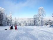 Im Mitterdorf betreibt man sanften Tourismus