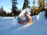 Tipp für die Kleinen  - Little Saint Bernard Adventure Trail