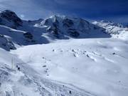 Morteratsch-Gletscherabfahrt mit Piz Palü (3900 m)