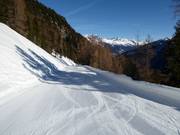 Leichte Piste Speiky