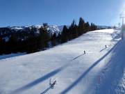 Piste Dreieck