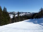 Leichte Verbindungspiste Nr. 36 nach Høgegga