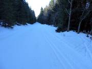 Loipen in Malá Úpa