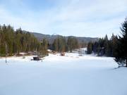 Skihang am Barmseelift