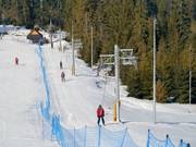 Jurgów F - Tellerlift