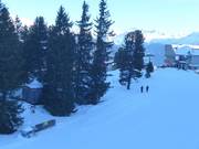 Übungslift Bergstation - Seillift/Babylift mit niederer Seilführung