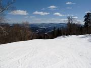 Breite Waldabfahrt in Stowe