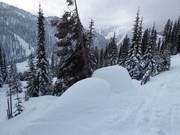 Genug Naturschnee im Skigebiet Whitewater
