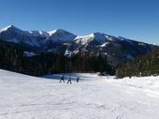 Kinderland mit leichter Piste und Schlepplift