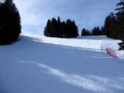 Leichte Waldpisten am Chuenisbärgli in Adelboden