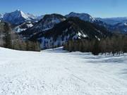 Frauenkarabfahrt im unteren Teil
