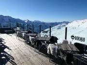 Berghütten Tipp Heaven 3000