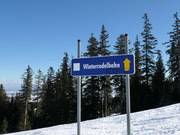 Winterrodelbahn