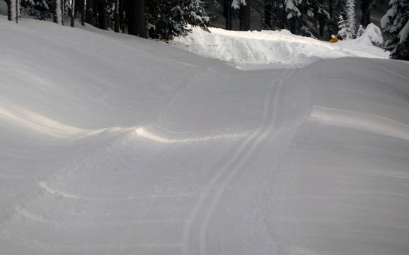 Langlauf Silberregion Karwendel – Langlauf Kellerjoch – Schwaz