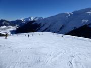 Leichte Piste Nr. 46 Planatsch