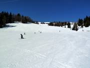 Abfahrt Tschaneck-Königswiese